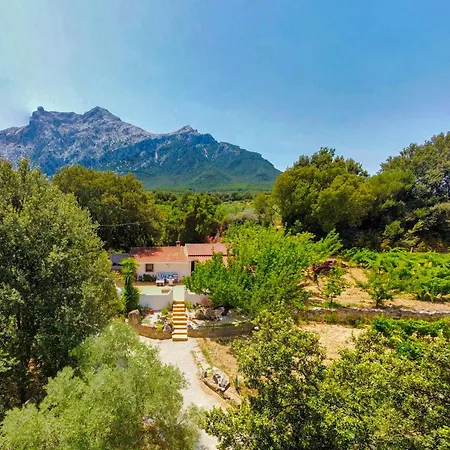 Musserrata Country House * Oliena