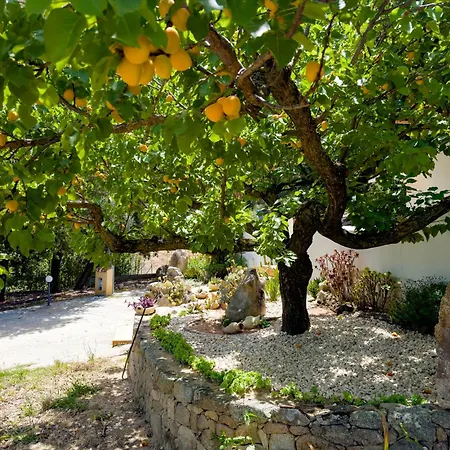 Musserrata Country House Casa vacanze Oliena